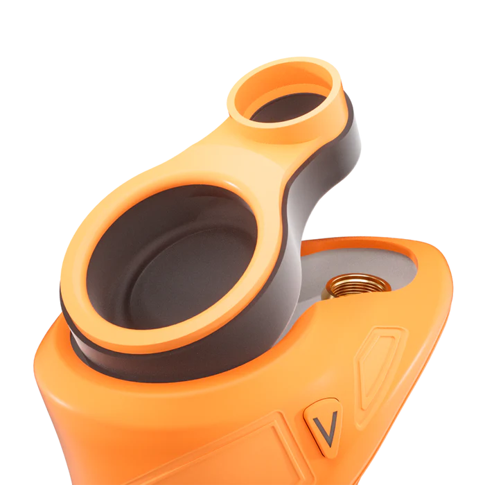 Focus V - Sport | Tangerine - The Glass Mule