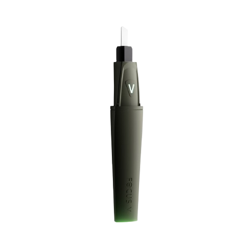 Focus V - Saber | Forest