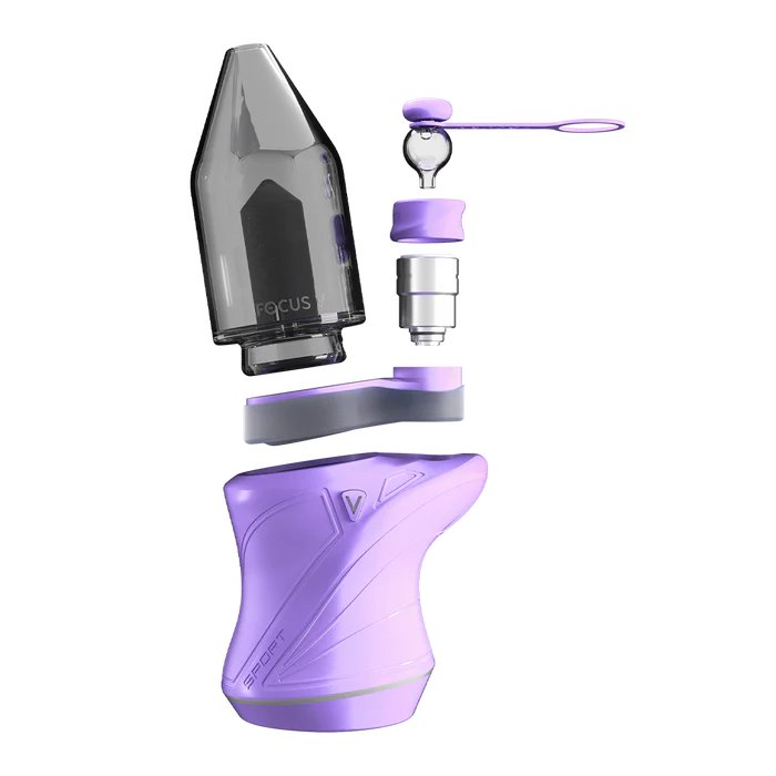 Focus V - Sport | Lilac - The Glass Mule