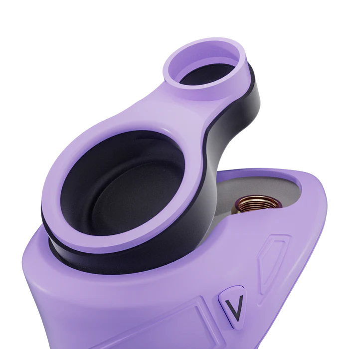 Focus V - Sport | Lilac - The Glass Mule