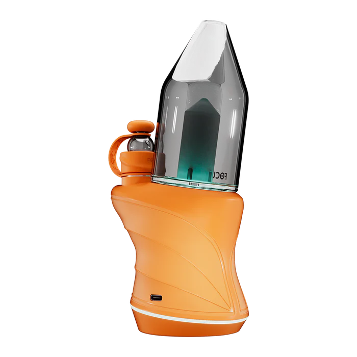 Focus V - Sport | Tangerine - The Glass Mule