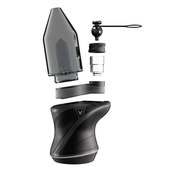 Focus V - Sport | Black - The Glass Mule