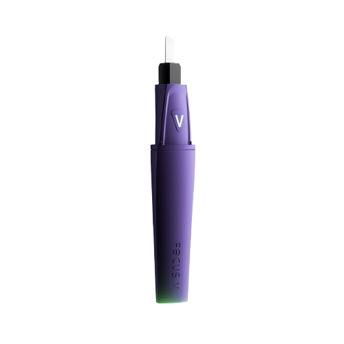 Focus V - Saber | Grape