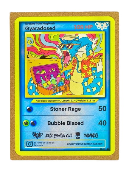 Mattitude Mats - Gyaradosed