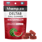 HHempCo - 250mg D8 Chill Gummies - Watermelon