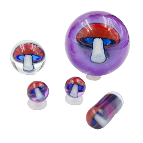 Steve H - Royal Jelly Mushroom 5pc Slurper Set
